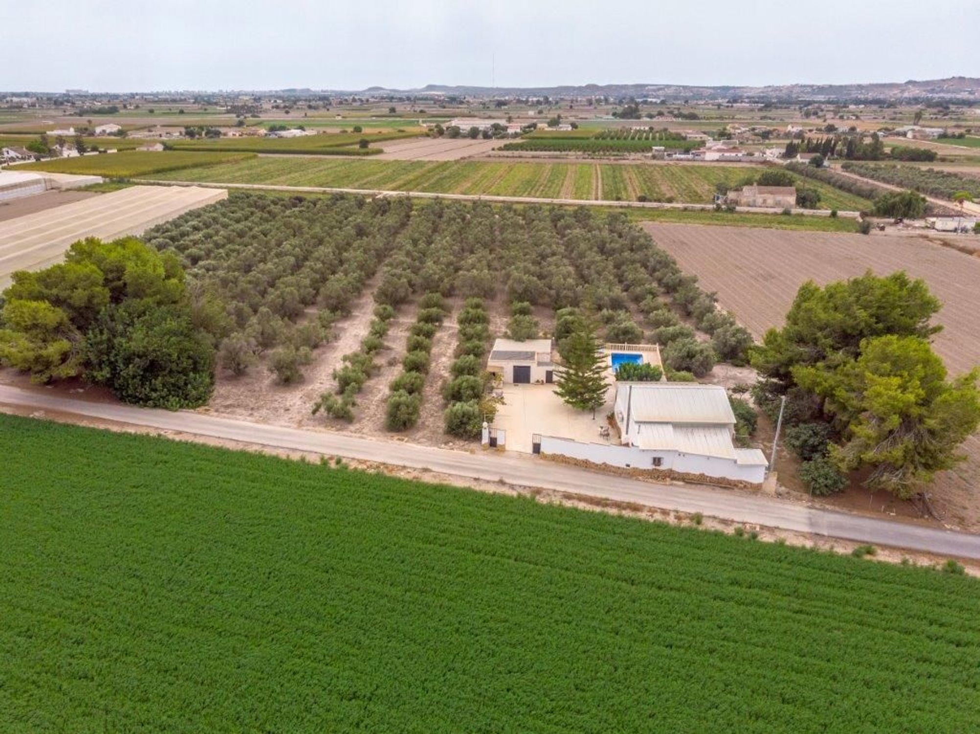 Houses à vendre 3 bd in Dolores, Alicante