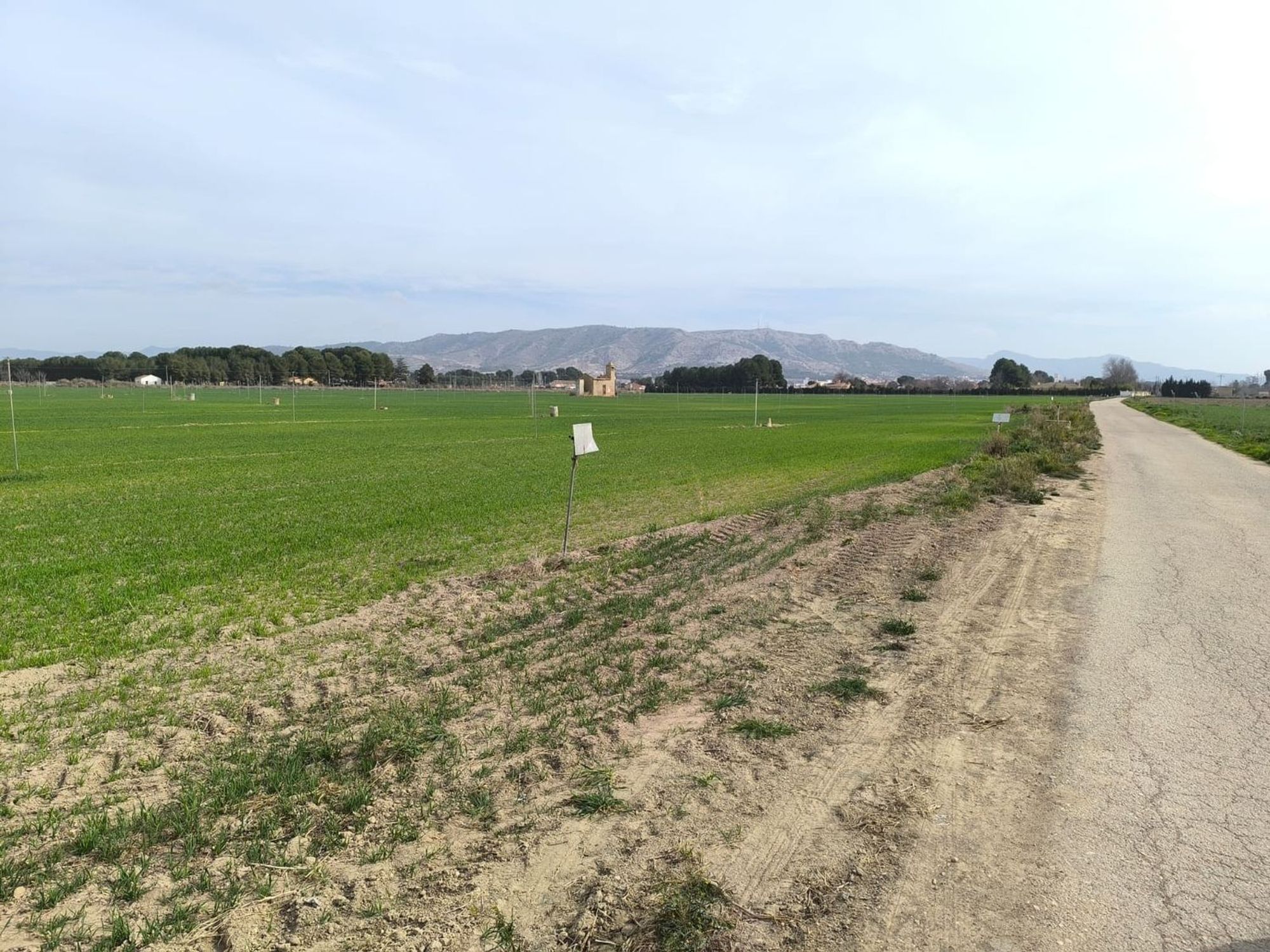 Lands for sale in Villena, Alicante