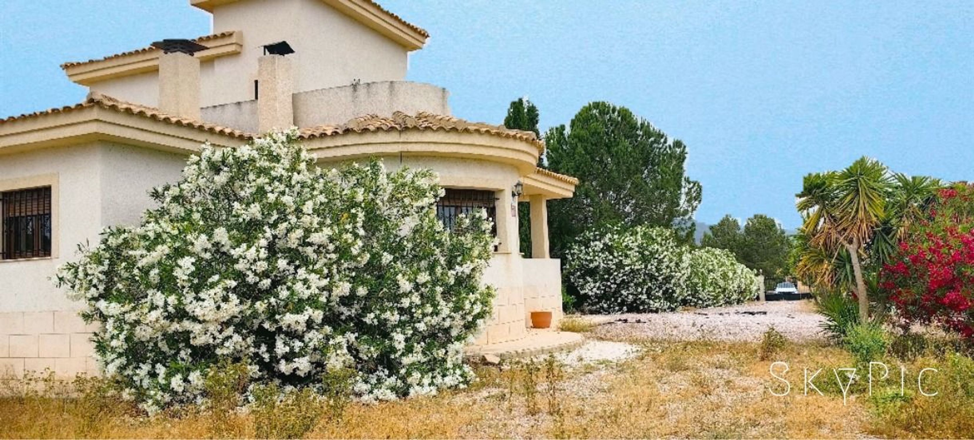 Houses for sale 3 bd in Pinoso, Alicante