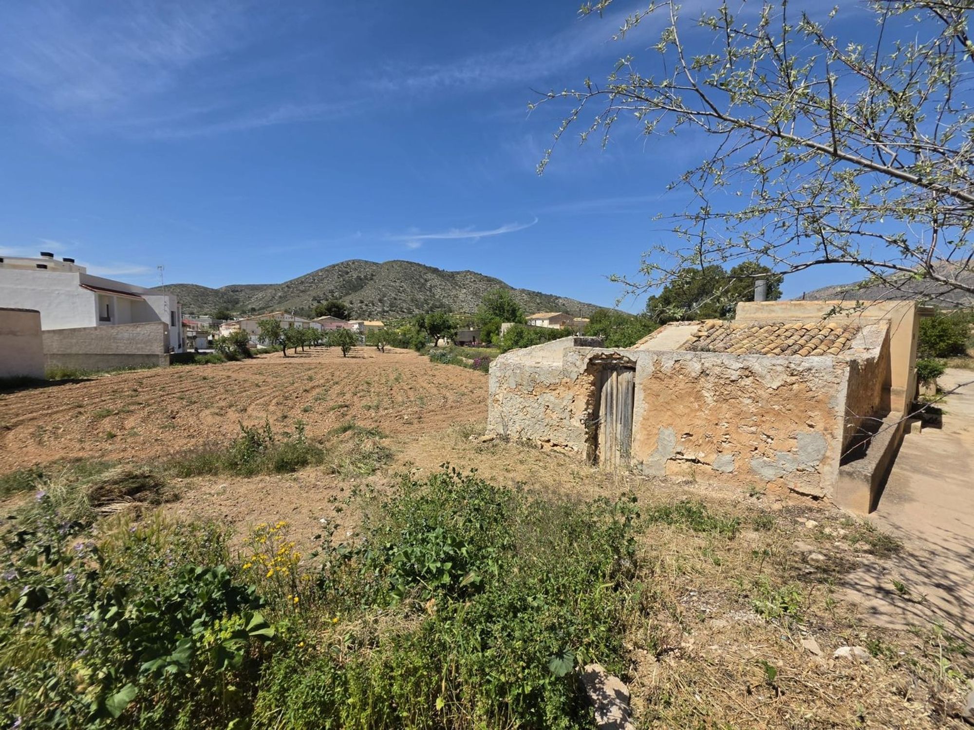 Lands for sale in Hondón de las Nieves, Alicante