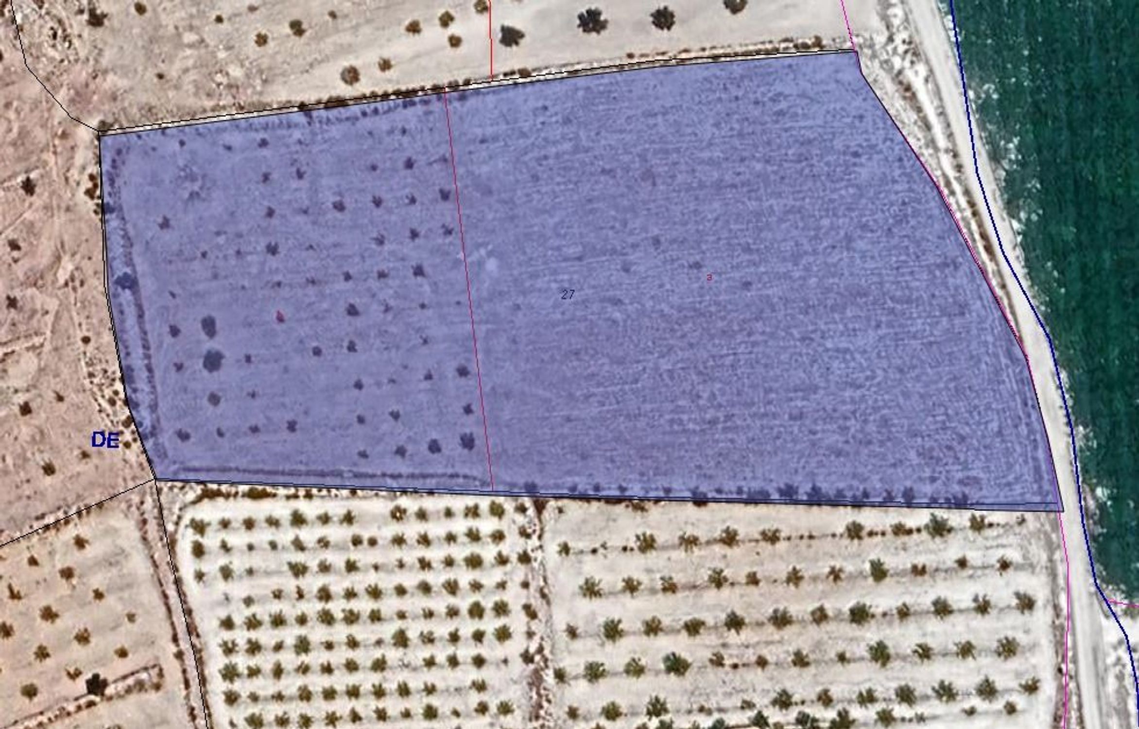Lands for sale in Pinoso, Alicante
