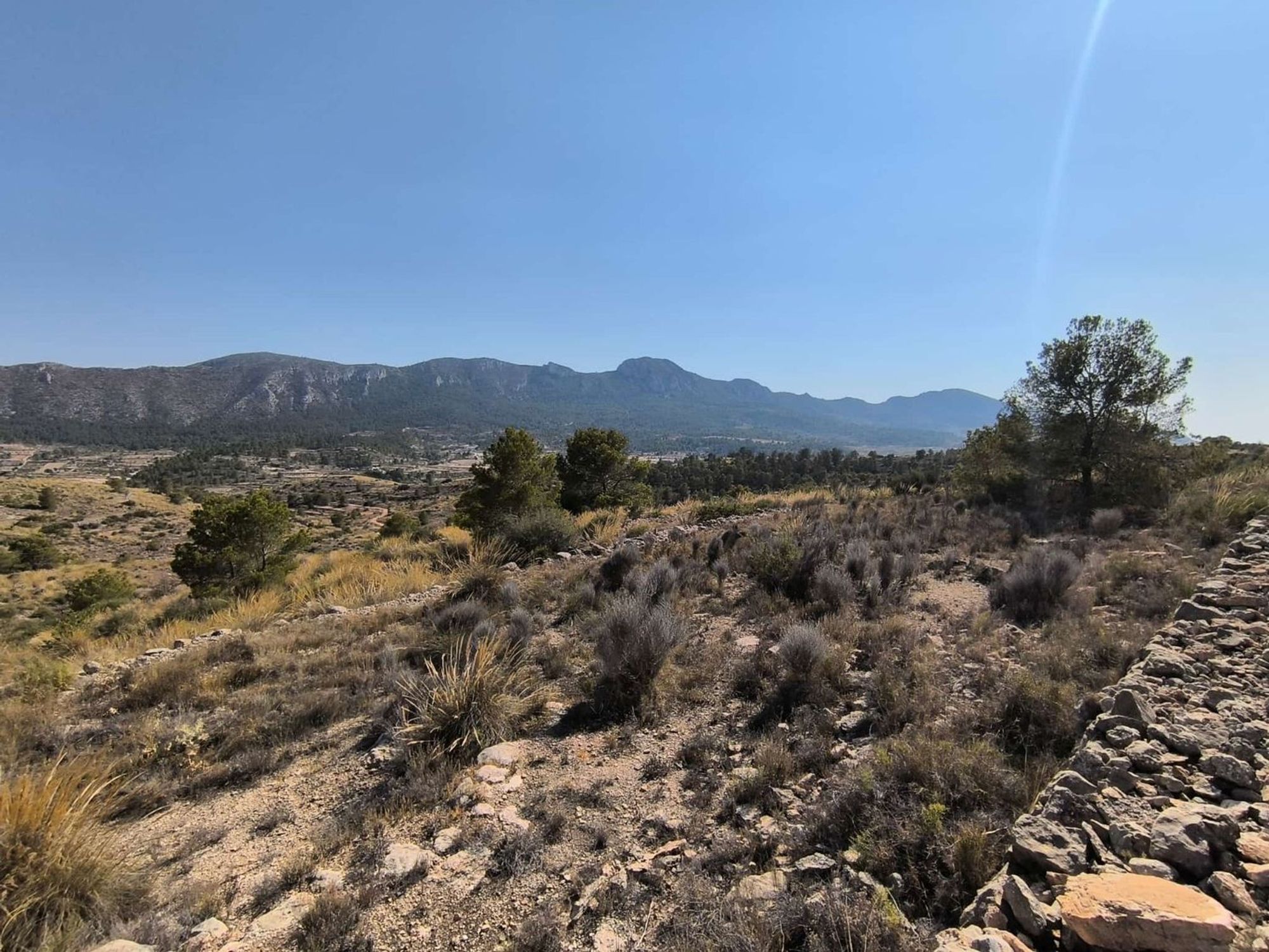 Lands for sale in La Romana, Alicante - 616032