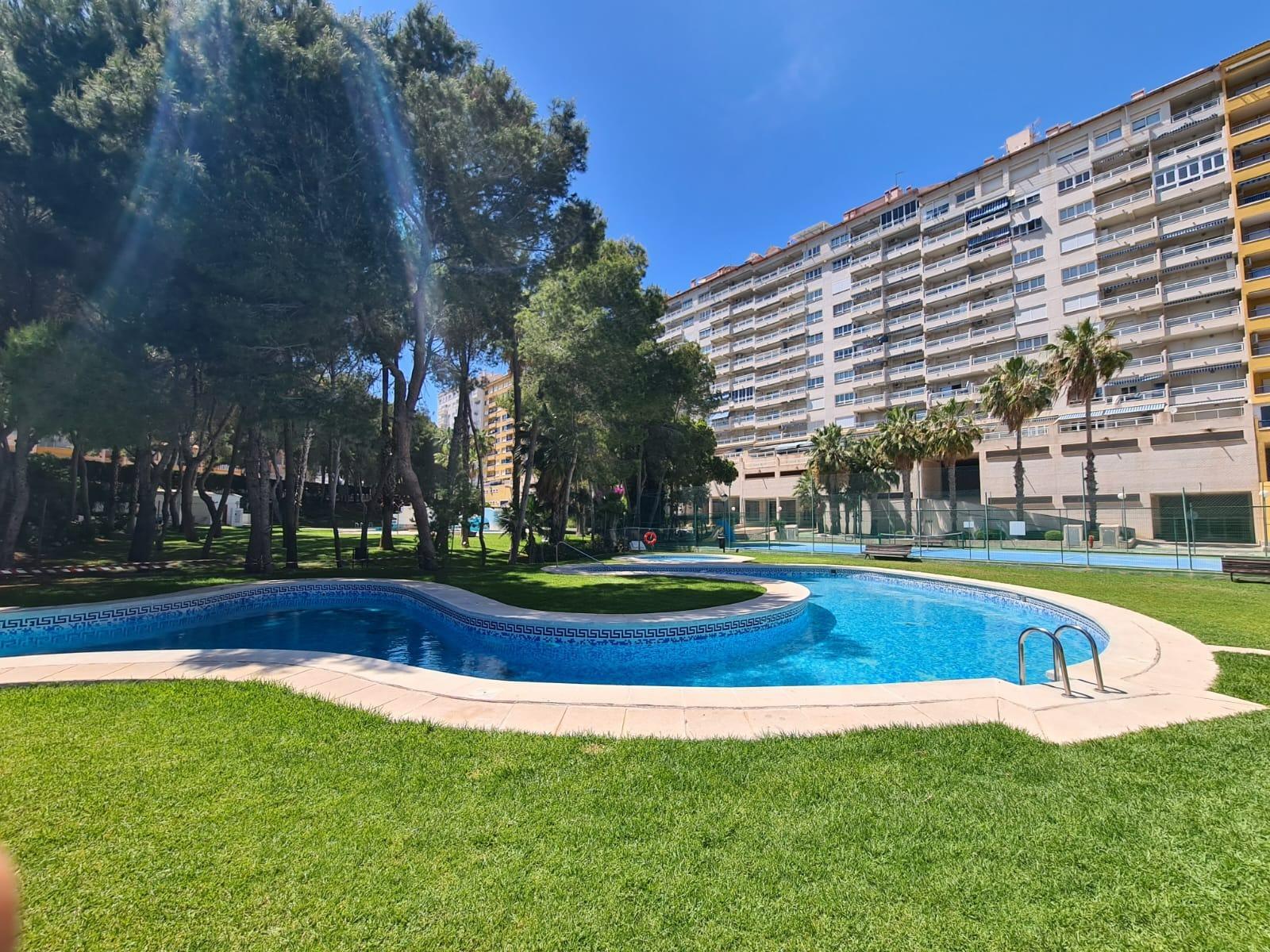 Apartments for sale with 3 bd in Orihuela, Alicante - 618009