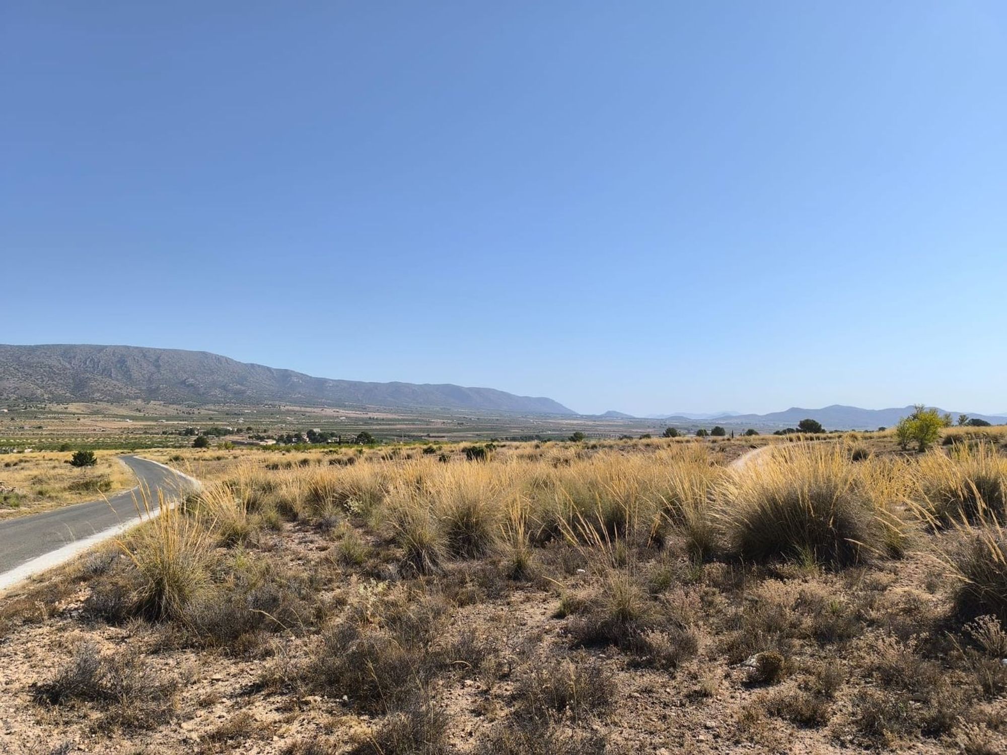 Lands for sale in Pinoso, Alicante