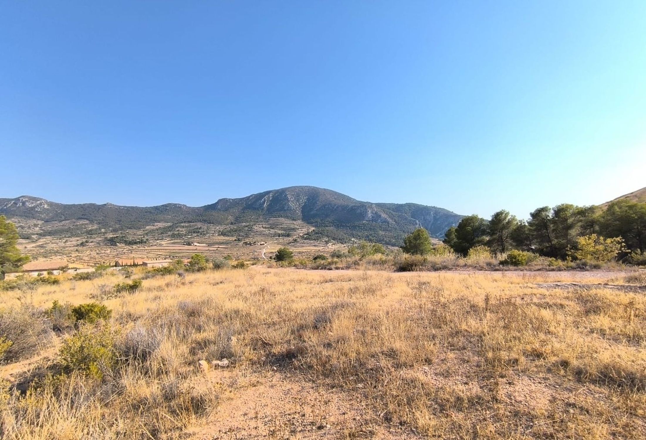 Lands for sale in Algueña, Alicante