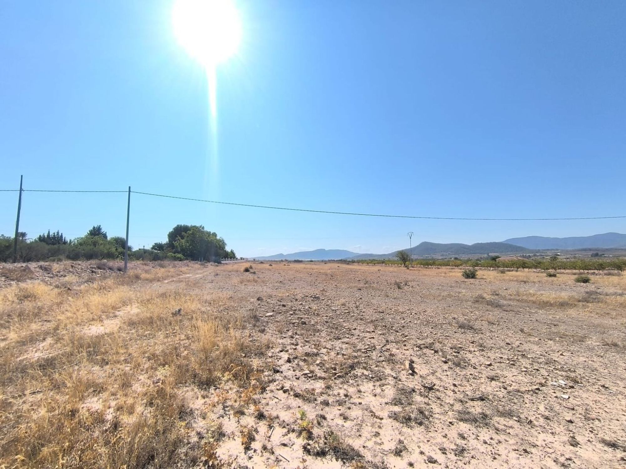 Lands for sale in Pinoso, Alicante