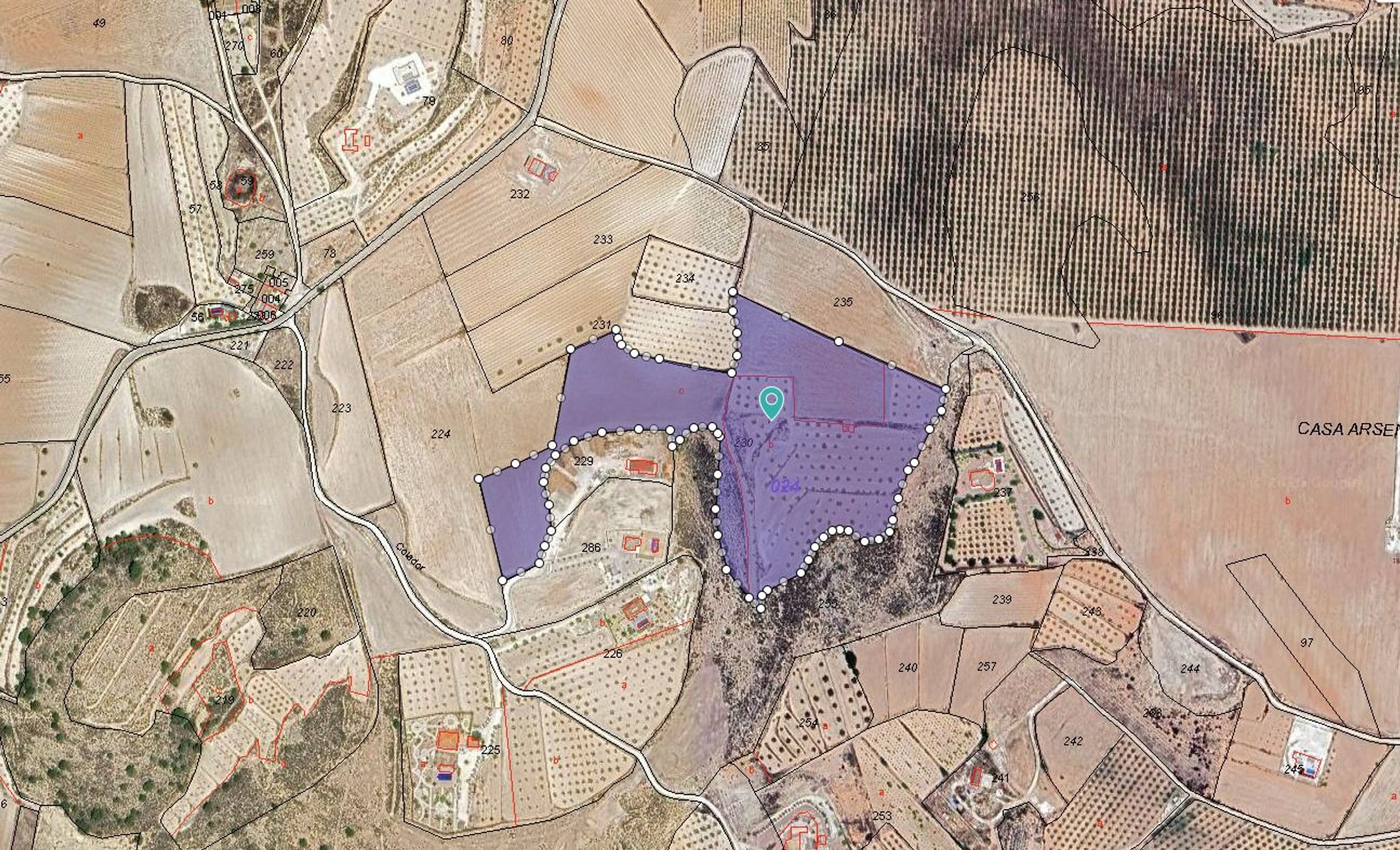 Lands for sale in Pinoso, Alicante