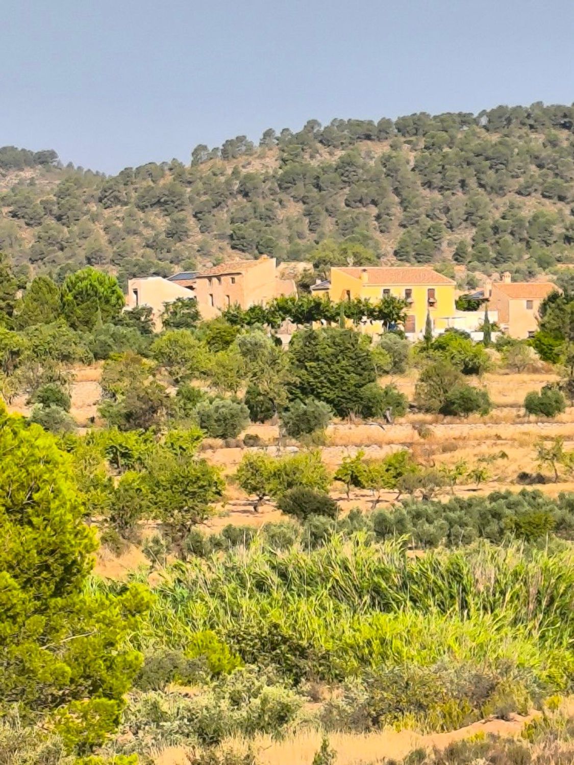 Domy na sprzedaż 3 bd in Pinoso, Alicante